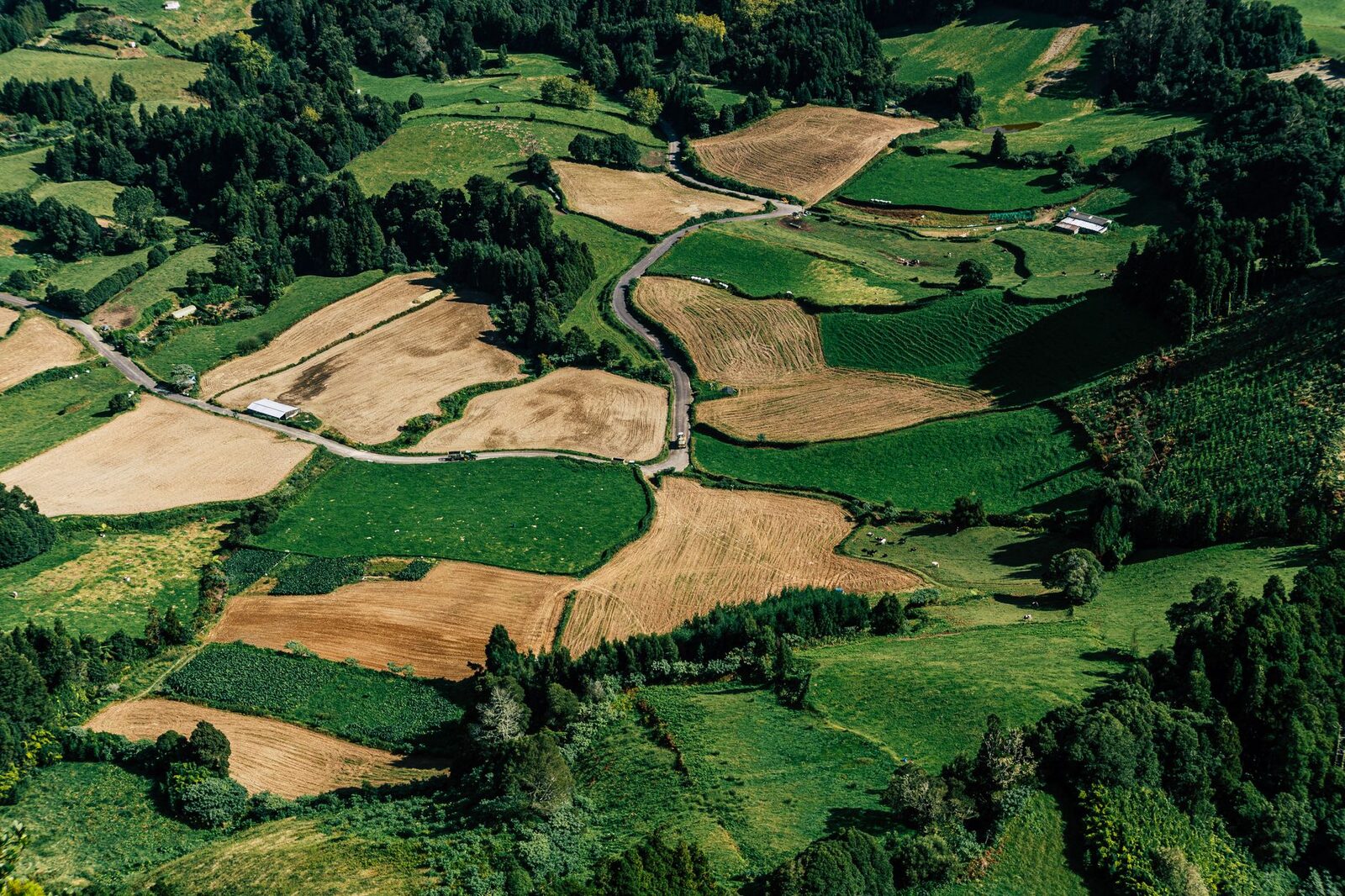 Stunning aerial view of diverse agricultural fields with green and brown patches, illustrating rural land patterns.
